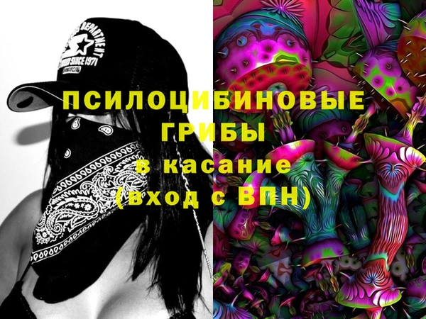 СК Алексин