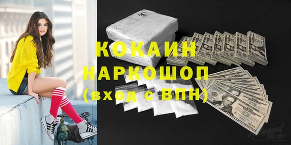 СК Алексин