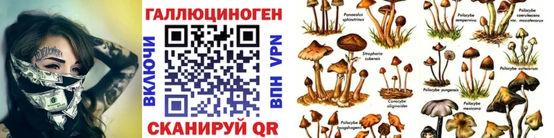 Галлюциногенные грибы Psilocybine cubensis  OMG ссылки  Тюмень 