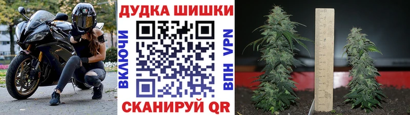 Конопля план  цены наркотик  Тюмень 